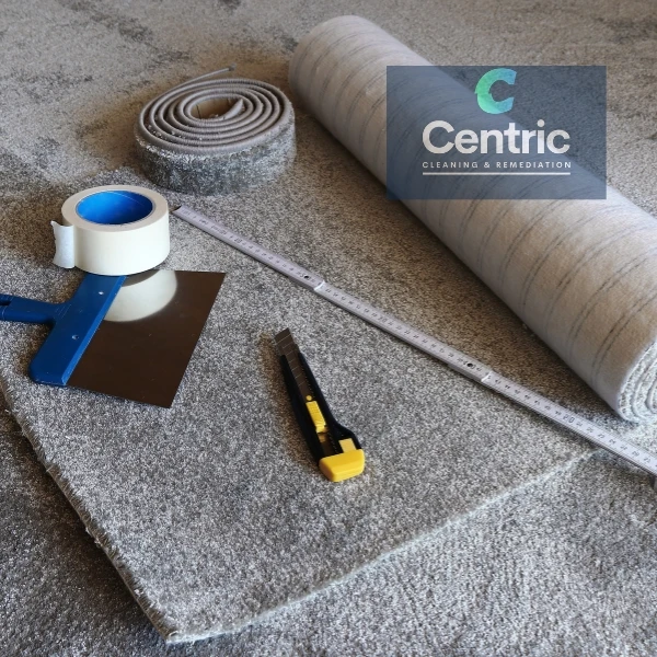 Carpet Repair Services in Auckland